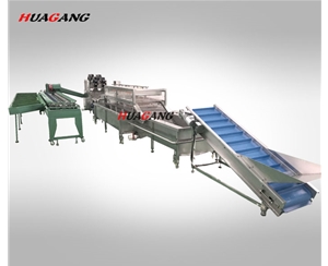 自動化水果類清洗風(fēng)干稱重分選流水線