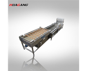 柑橘毛輥氣泡清洗線