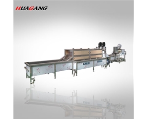 火龍果清洗風干流水線