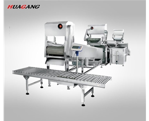 全自動大型連續式葉菜類清洗線