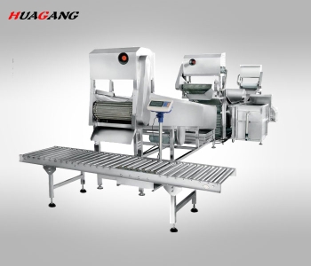 全自動大型連續式葉菜類清洗線