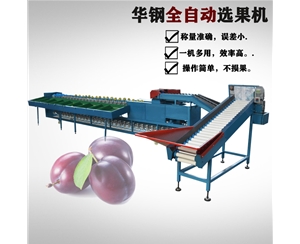 小型自動上果分選機