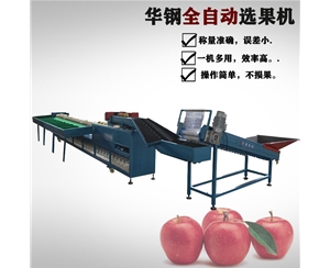 不銹鋼款選果機