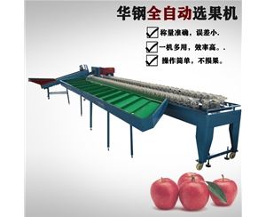 火龍果稱重分選機（人工上果）